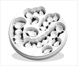 ジルコニアコーピング